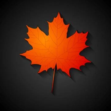 Red maple leaf. Autumn background Red maple leaf. Autumn vector background... Stock Photos