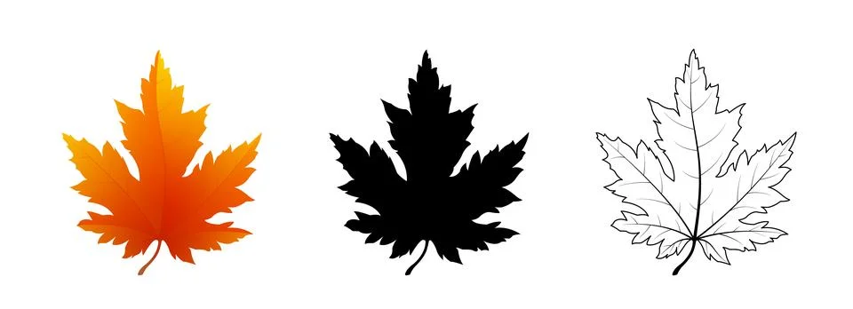 Red maple leaf, black silhouette and outline Illustrazione stock