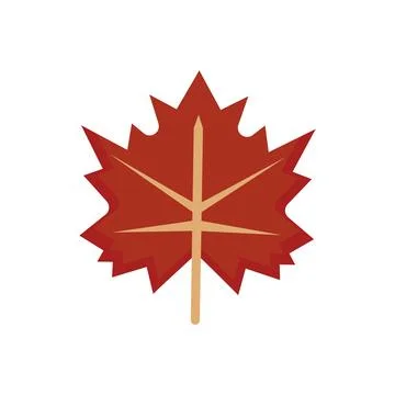 Red maple leaf canada. Vector Stock Illustration