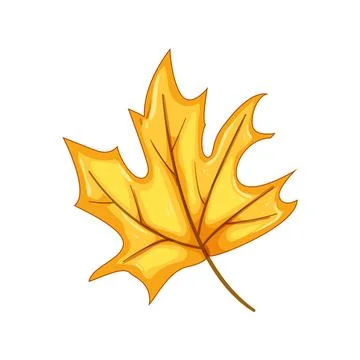 Red maple leaf cartoon vector illustration Stock Illustration