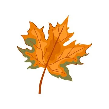 Red maple leaf cartoon vector illustration Stock Illustration