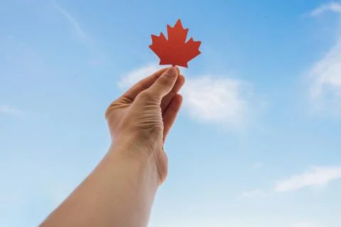 Red maple leaf in hand against the sky place for text Stock Photos