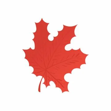 Red maple leaf icon, cartoon style 스톡 일러스트