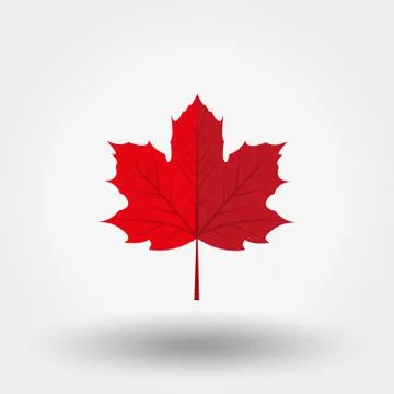 Red maple leaf icon Stock Illustration