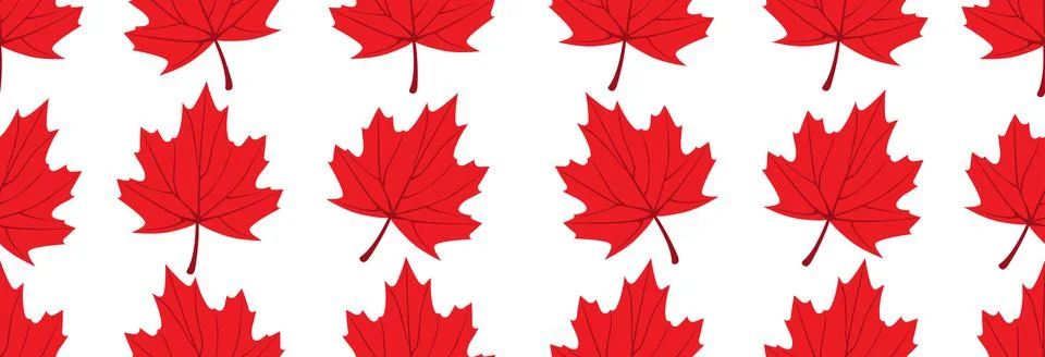 Red maple leaf. Illustrazione stock