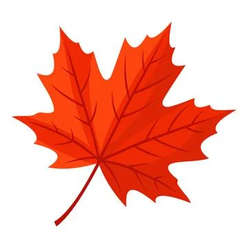 Red Maple Leaf Illustration Vector Template Illustrazione stock
