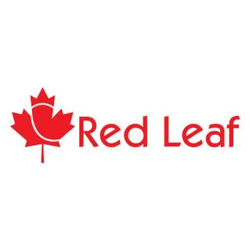 Red maple leaf logo design. 库存插图