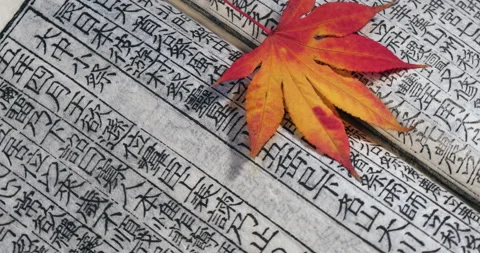 Red Maple leaf on open old chinese character book in rotation 库存影片 162559012