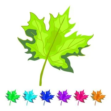 Red maple leaf vector cartoon graphic Stock Illustration