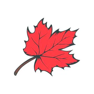 Red maple leaf. Vector illustration isolated on white background. 스톡 일러스트