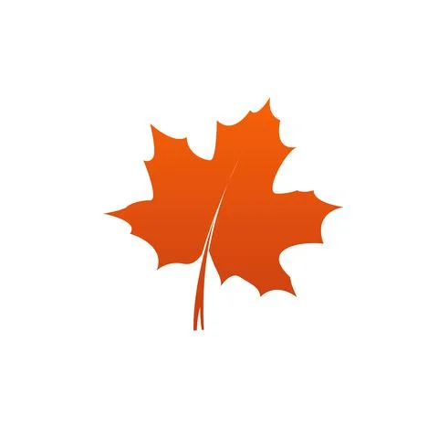 A Red maple leaf on white background. autumn leaf of maple symbol as a seaso イラスト素材