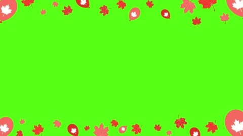 Red maple leaves and heart balloons floating downwards against vibrant green Stock Footage 344142238