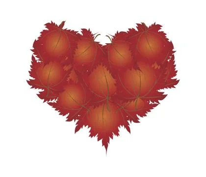 Red Maple Leaves in A Heart Shape 스톡 일러스트