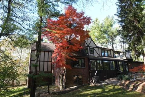 Red Maple Tree and Tudor-Style Brick House in Autumn Landscape Stock Photos