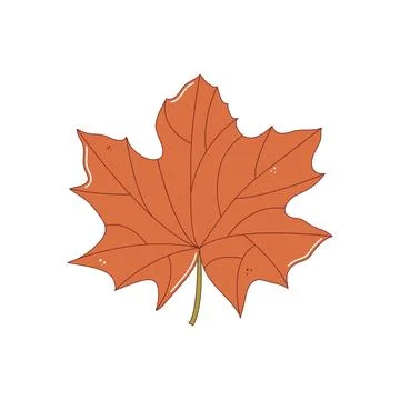Red maple tree leaf. Autumn fallen leaf, Colorful autumn concept. Fall foli.. Stock Illustration