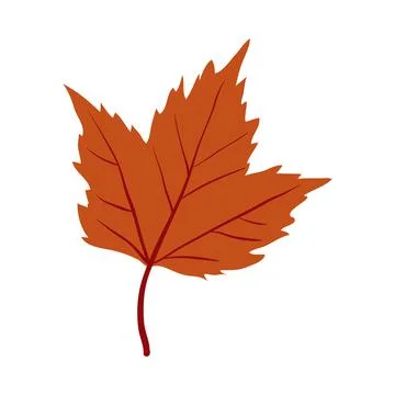 Red Maple tree leaf clip art Stock Illustration