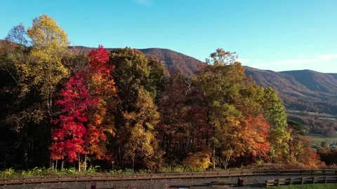 Red maple trees at Powell Valley Overlook in autumn aerial 스톡 동영상 347443088