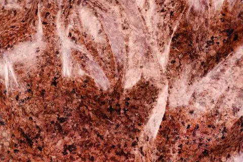 Red marble close-up texture. Stock Photos