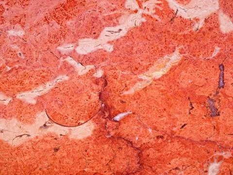 Red marble Stock Photos