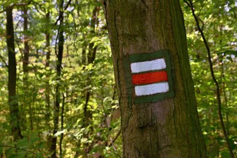 Red mark for hiking path in forest Stock-Fotos