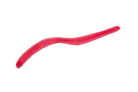 Red marker line design element Stock Illustration