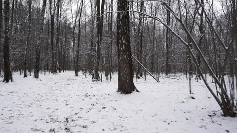 Red marks Stock Footage 100023636