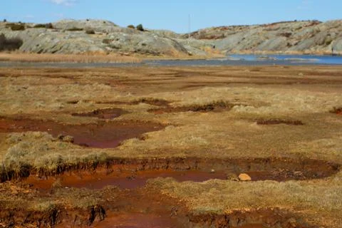 Red marsh on in the swedish archipelago 스톡 사진