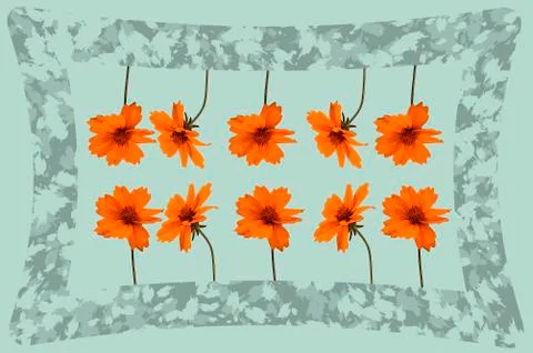Red meadow flowers with frame on light background Stock Photos