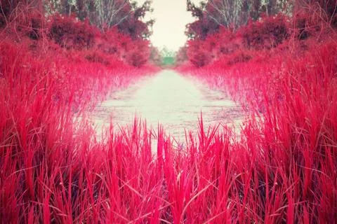 Red meadow streets Foto stock