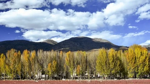 Red meadow under blue sky with Yellow Tree and Mountain in Daocheng, SiChuna, Stock Footage 77711974