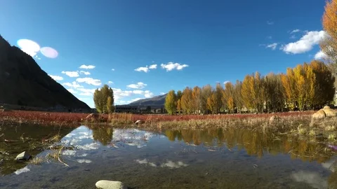 Red meadow under blue sky with Yellow Tree and Mountain in Daocheng, SiChuna, Stock Footage 77712025