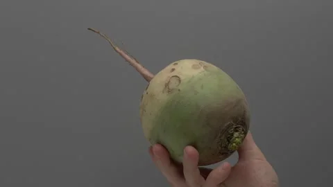 Red Meat radish in hand on a gray background. Vídeo Stock 265755370
