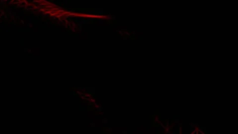 Red Mesmerizing Neon Mesh Abstract Pattern Background VJ Loop in 4K Stock Footage 334718518