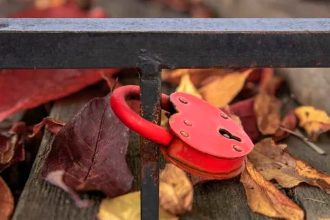 Red metal heart shape lock on an iron fence. Autumn background bright, colorf Stock Photos