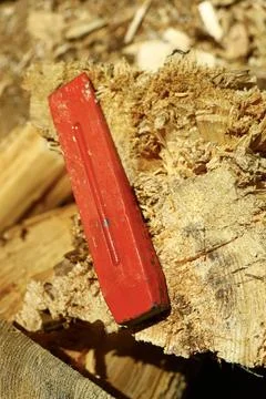 Red metal splitting wedge embedded in hardwood log during firewood processing Foto stock
