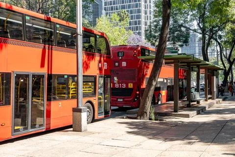 Red metrobus double-decker buses at reforma Fotos de archivo