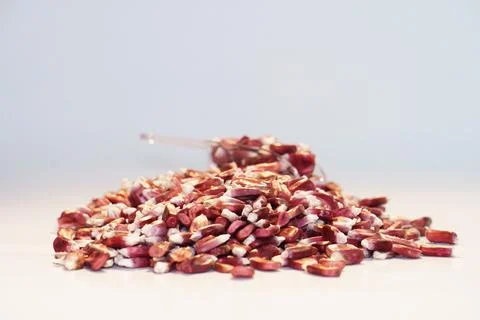 Red Mexican corn on white background Foto stock
