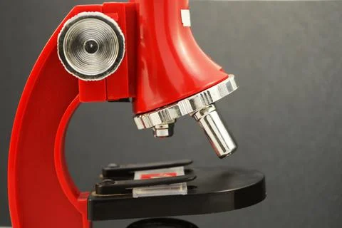 Red Microscope Closeup Stock Photos