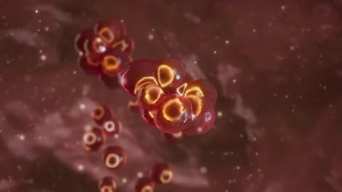 Red microscopic cells converge and fuse together Video stock 343359189