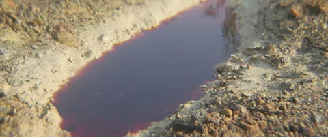 Red mine drainage water puddle 4K anamorphic video Stock Footage 314693879