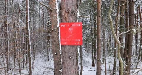 Red mine sign marks the edge of a known minefield  in the forest Stock Footage 171558226
