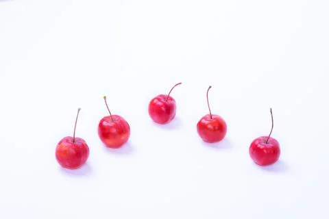 Red mini-apples on a light background Stock Photos