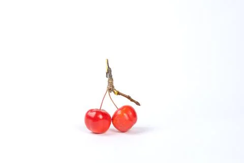 Red mini-apples on a light background Stock Photos