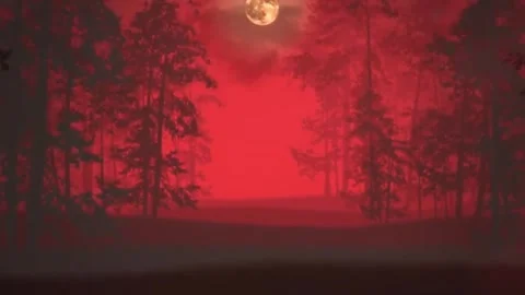 Red misty forest with glowing full moon. Vídeos de archivo 335712851