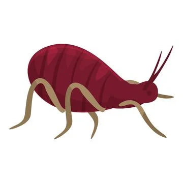 Red mite crawling, parasite insect spreading diseases Illustrazione stock