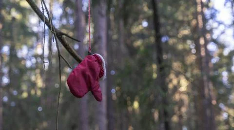 A red mitten is hanging on a tree in the forest. Search for missing people in Stock Photos