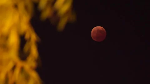 Red moon, circular moon, moon Stock Footage 274117839
