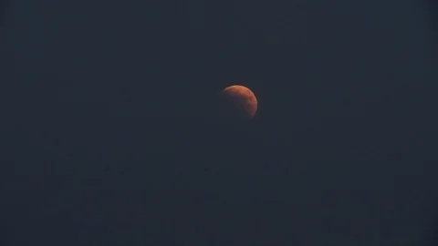 Red moon on a dark sky Stock Footage 93780744