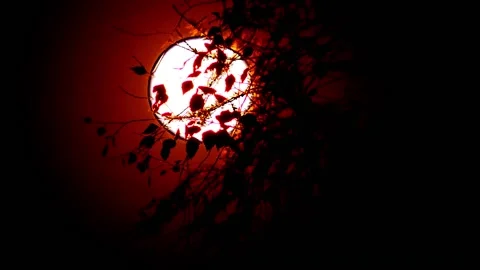 A Red Moon Enchants the Forest Stock Footage 238789339