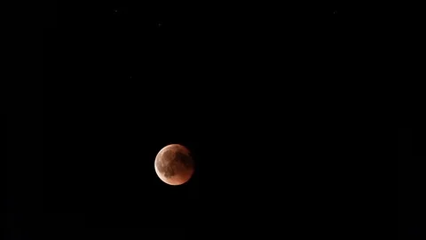 Red Moon Maximum Eclipse. Blood Moon Rising during Lunar Total Eclipse. Stock Footage 93246094